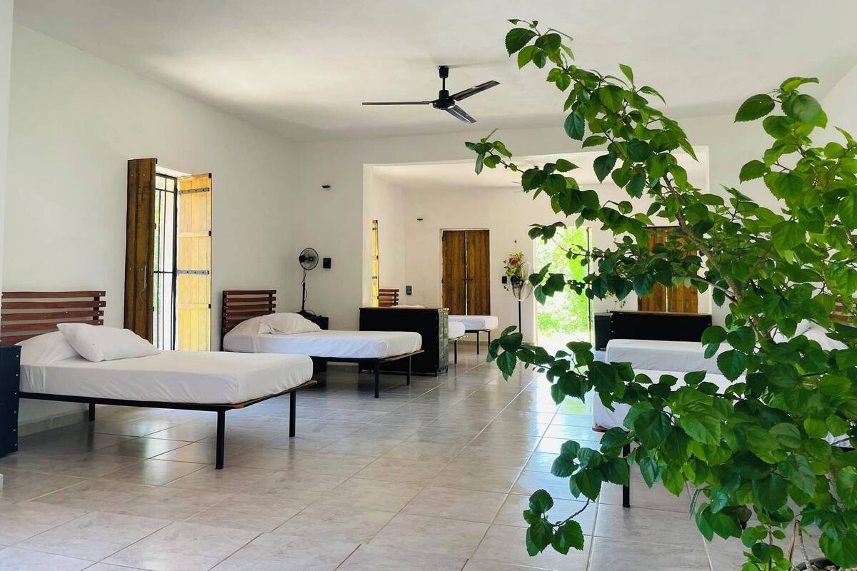 Standard Shared Dormitory, Mountain View | Laptop workspace, WiFi (free)