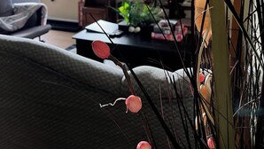 Un salon avec un canapé, une table basse, un téléviseur et une fenêtre équipée de stores.