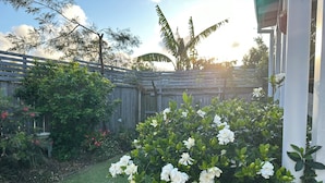Un jardin avec des fleurs blanches, une clôture en bois et une pelouse verdoyante.