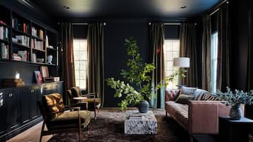 Smart TV, chimenea, libros y monitor de computadora