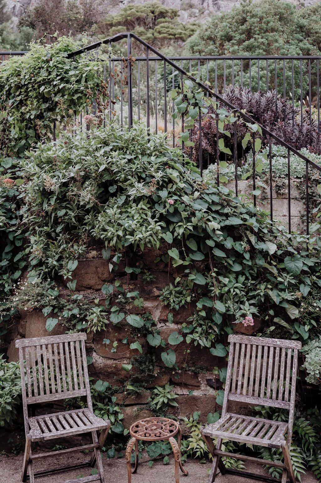 A rustic outdoor seating area with two wooden chairs and a small round table, surrounded by lush greenery and a stone wall.