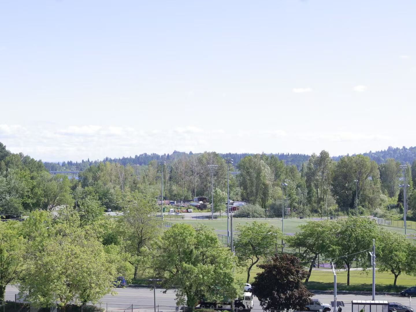 A parking lot with trees and a distant view of a hill with buildings.
