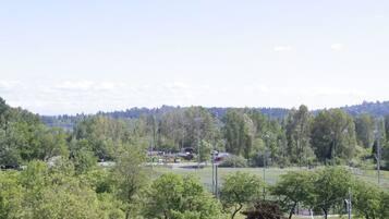 A parking lot with trees and a distant view of a hill with buildings.