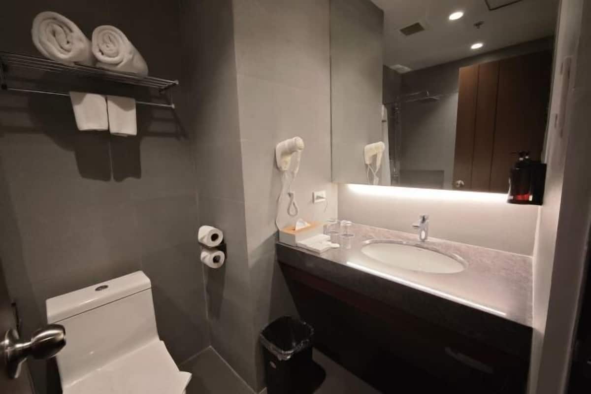Regadera, secadora de cabello, bidet, toallas