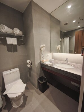 Shower, hair dryer, bidet, towels