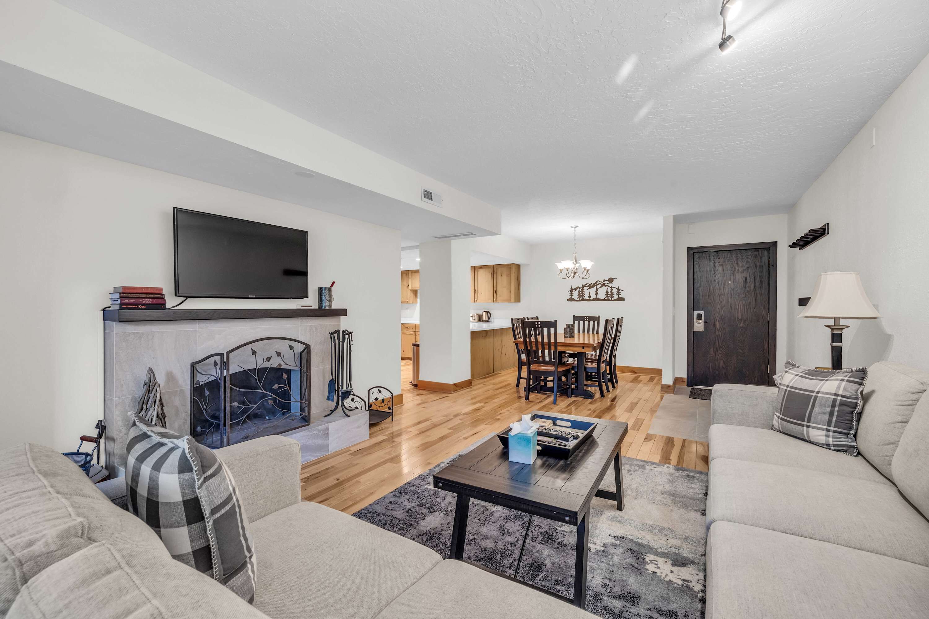 TV, fireplace