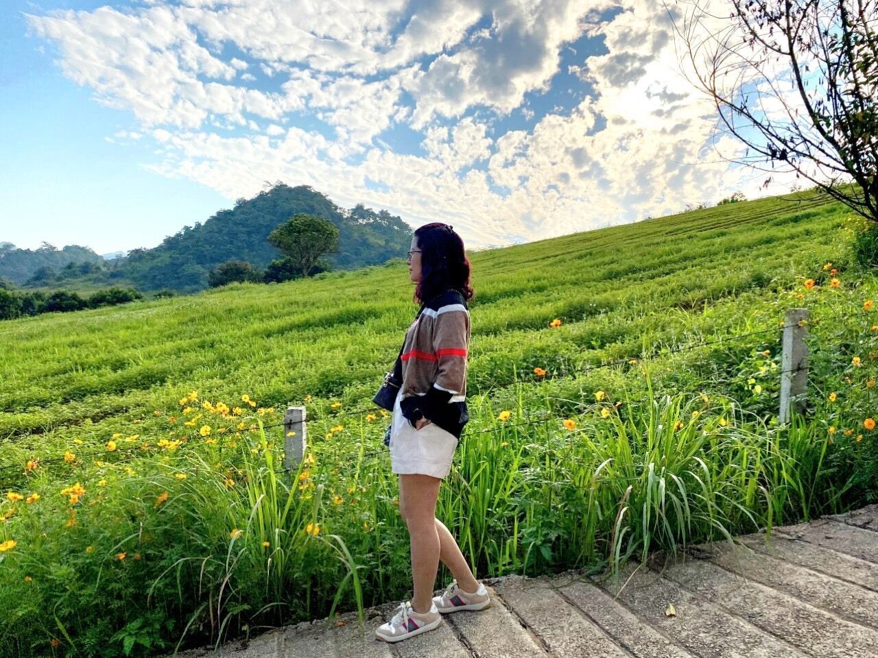 A person walking on a path through a green field with flowers and a mountain in the background.