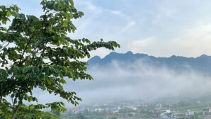 A rooftop garden with various potted plants and a wooden bench. - Doi Thong Moc Chau - by BAY LUXURY (Moc Son)