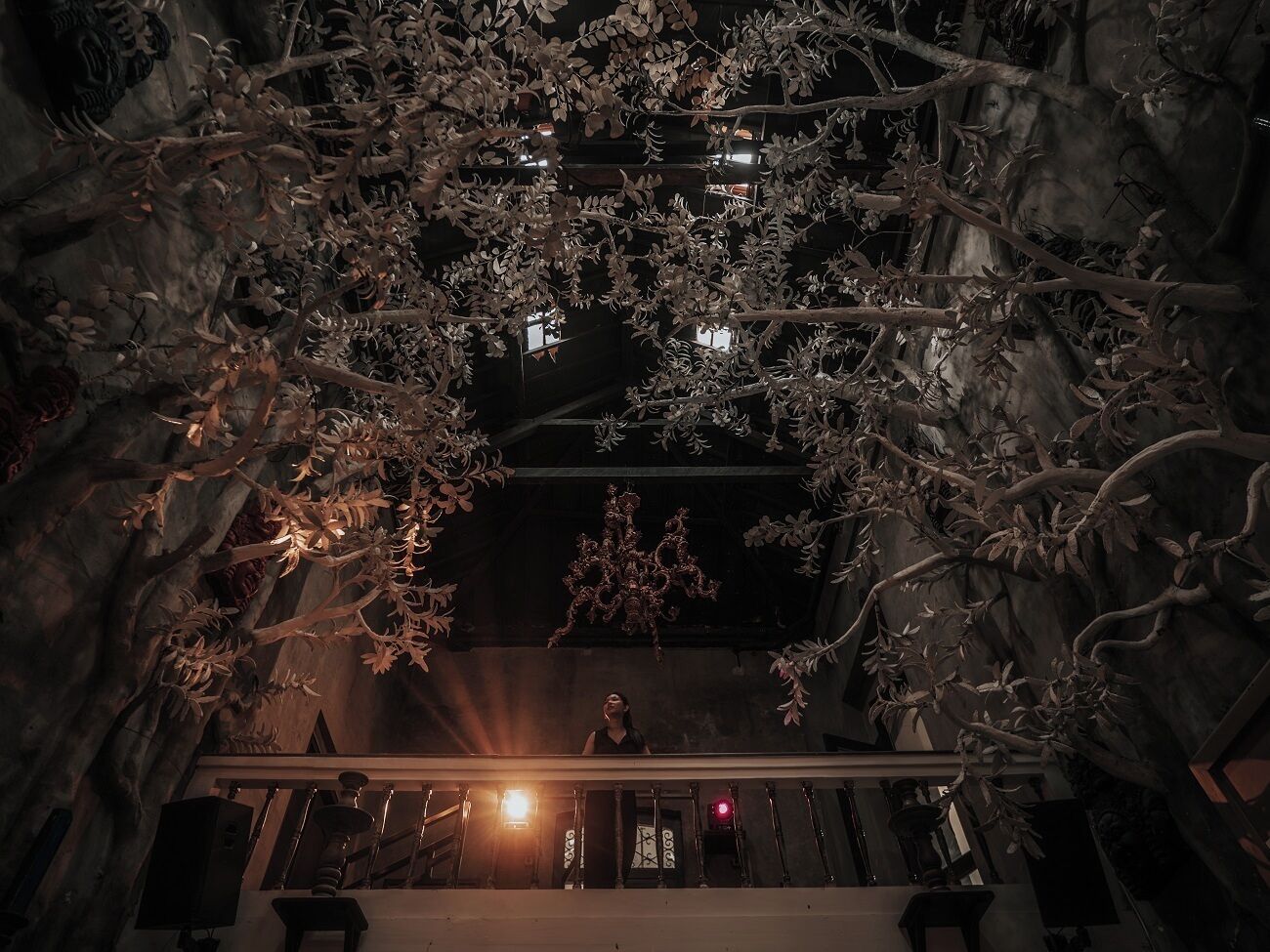 A person standing on a balcony with a view of a tree branch structure.