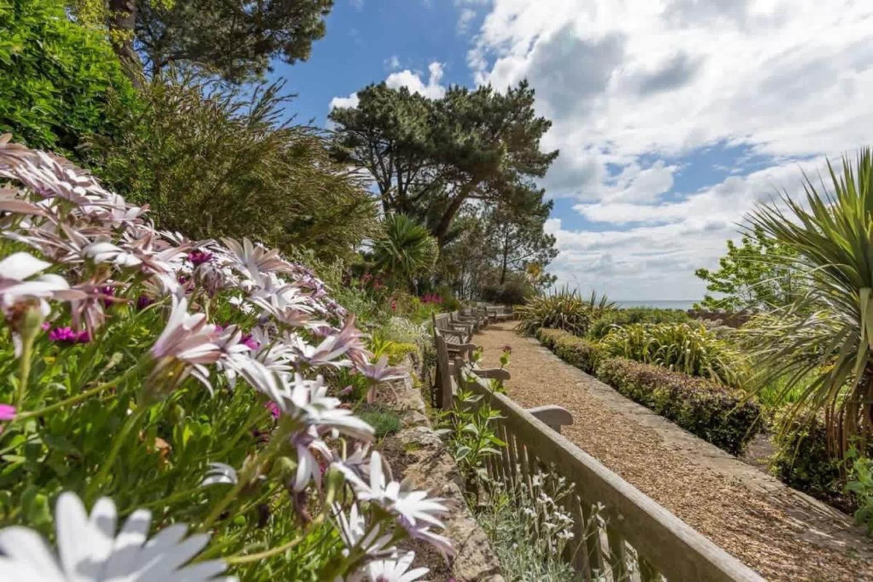 Ein Gartenweg mit Holzzaun, umgeben von verschiedenen Pflanzen und Bäumen.