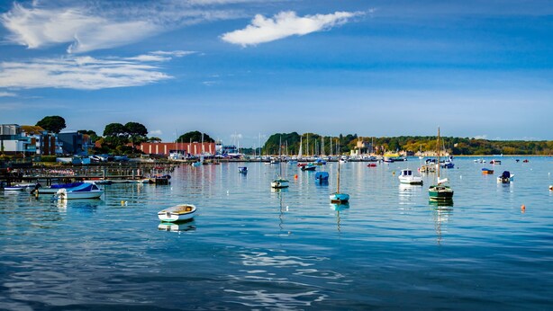 A marina with various boats docked, calm water, and a distant shoreline with buildings and trees.