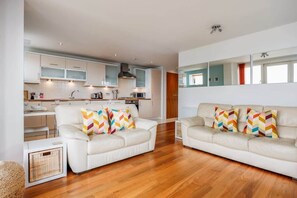 Fernseher, Arbeitsbereiche