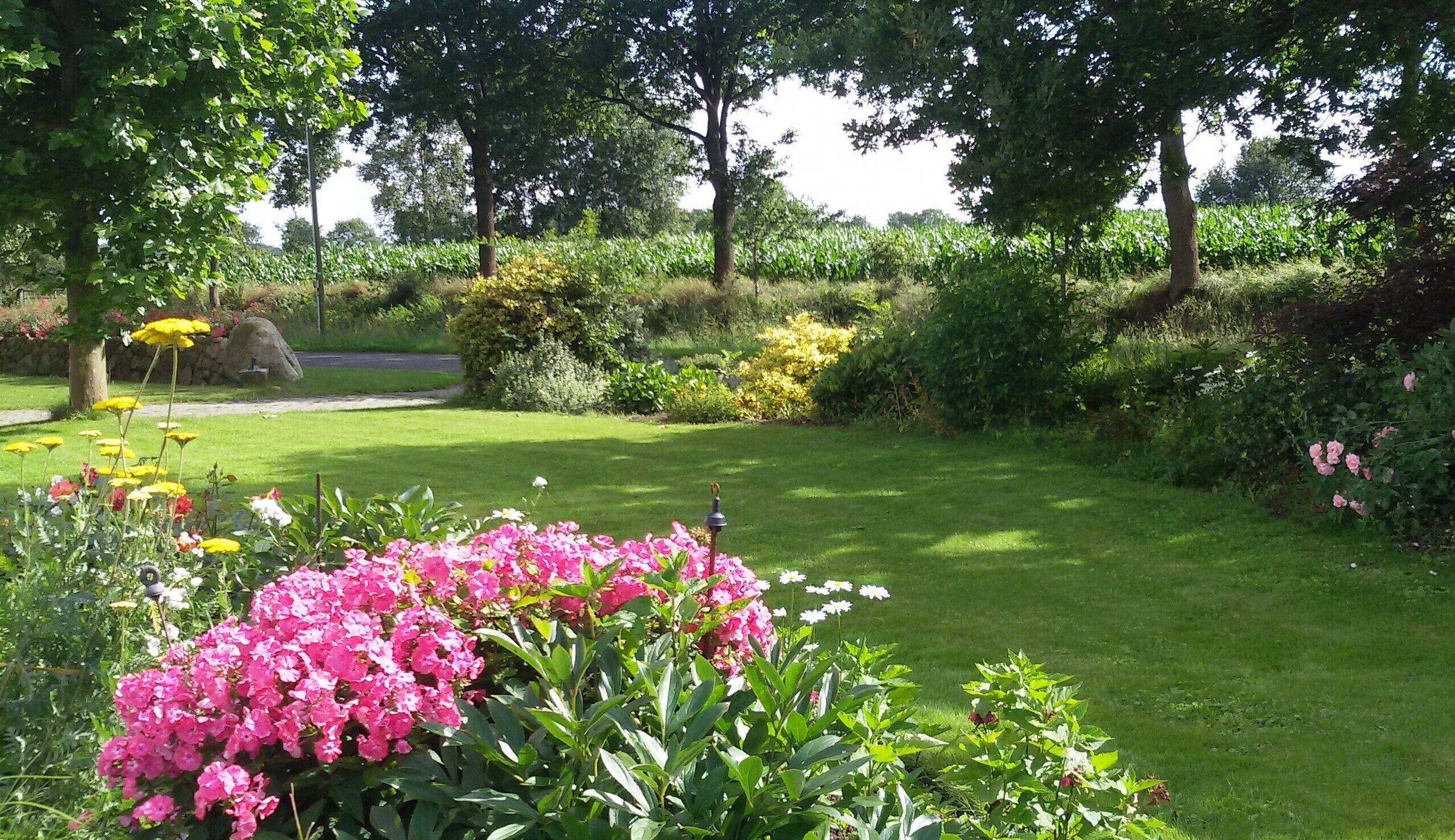 Terrein van de accommodatie