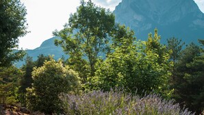 A natural landscape with a mountain in the background, a grassy path, and various shrubs. - L'indret del Pedraforca (Saldes)
