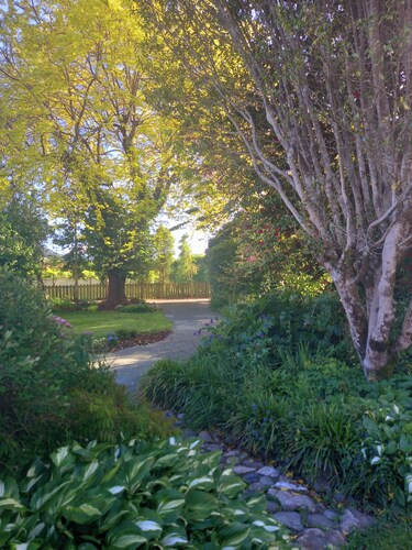 Spacious 4-bedroom and dog-friendly family home in Brooklyn. Gorgeous garden!