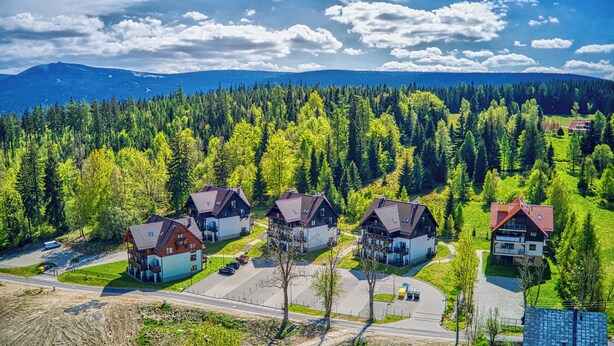 Zona residencial con casas rodeadas de un bosque denso y montañas al fondo.