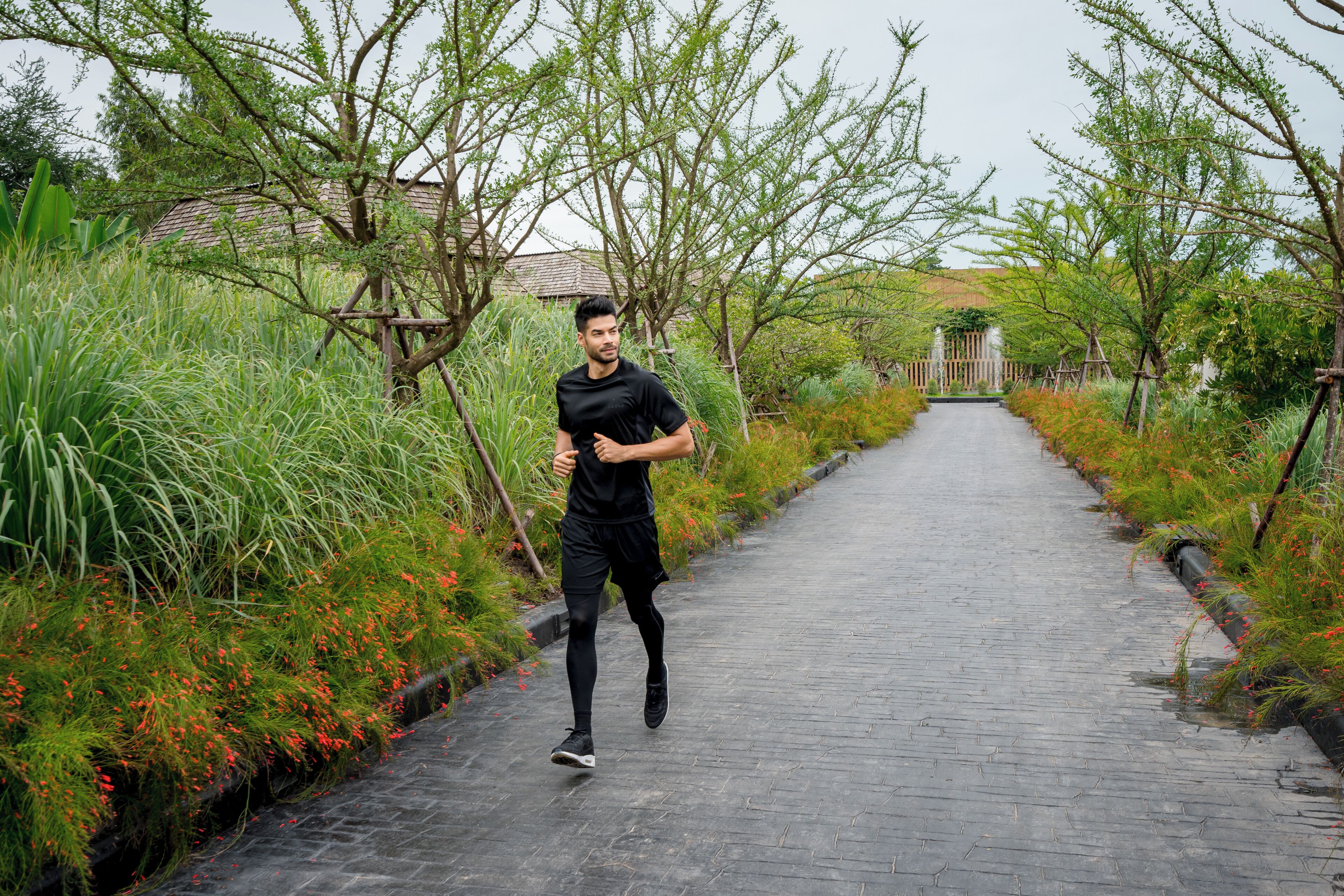 A pathway with greenery and a building in the background.