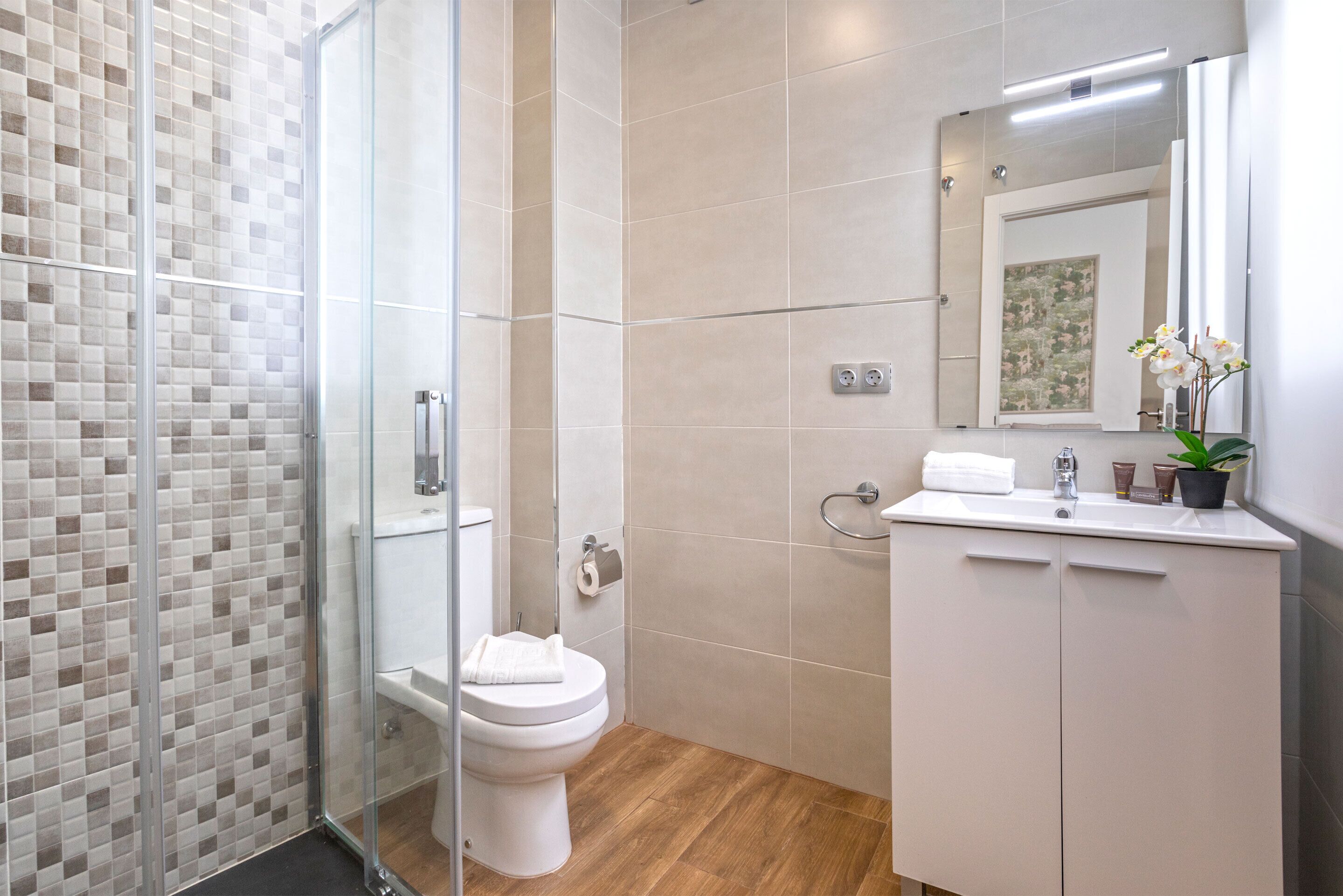 Une salle de bain avec une douche à parois de verre, des toilettes, un lavabo avec un miroir et une plante en pot.