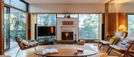 Una Smart TV, una chimenea, un reproductor de DVD, libros