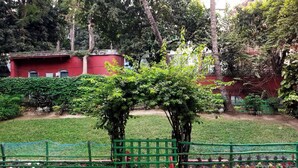 A garden area with a green metal fence, a red wall, and various trees and shrubs. - Urban Trippers Lal Bari Heritage Arindam (Kolkata)