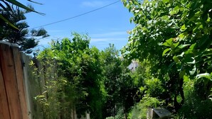 Ein gepflasterter Weg, gesäumt von üppiger Vegetation und einem Holzzaun.