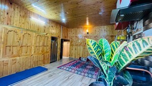 A wooden interior with a large plant, a blue mat, and a patterned rug.