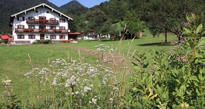 Thorau Alm Comfortable