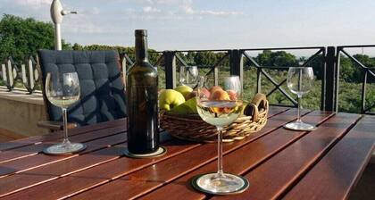 Villa Stauder - Melograno