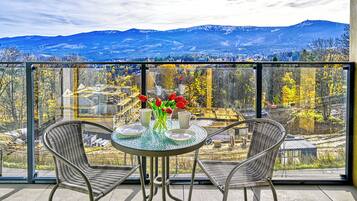 公寓 (1209) | 露台