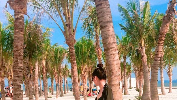 A beach with palm trees and a person walking. - Sapphire 2 Ha Long (Bai Chay)