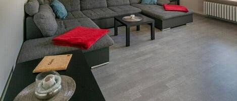 智能电视、DVD 播放器