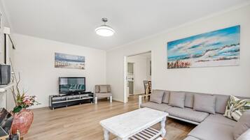 TV, DVD player, books