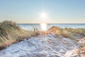 Beach - Herring Gull Comfortable holiday residence (Prerow (Darß))