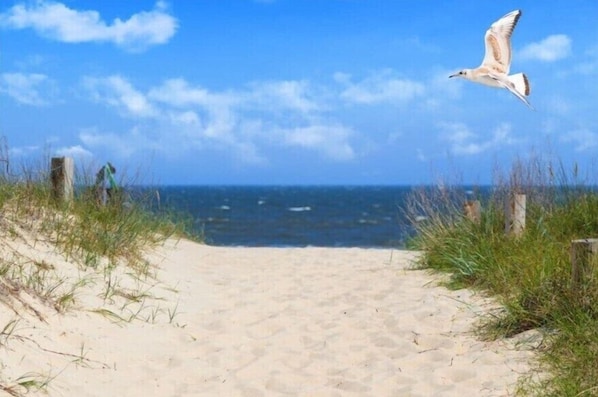 Strand