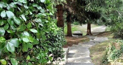 Typical, Romantic Tessiner Cottage