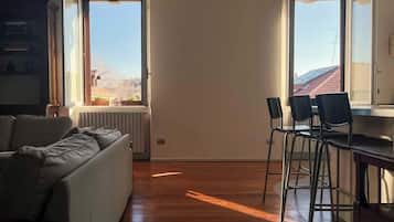 Fernseher, Arbeitsbereiche