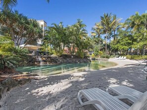 Pool - Coastal Charmer Resort-style Living at Alex Beach (Mooloolaba Region)