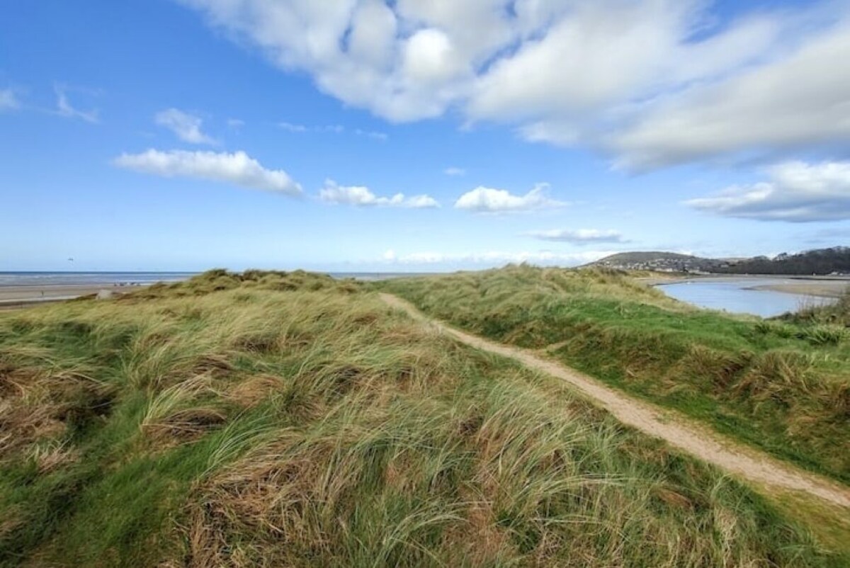 オーナーのプロフィール画像