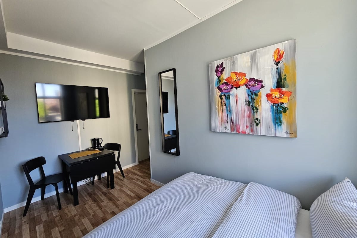 Klassieke kamer | 3 slaapkamers, een strijkplank/strijkijzer, gratis wifi