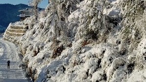 A snow-covered pathway leading to traditional buildings with stone and wooden architecture, surrounded by snow-laden trees. - Fresh View Homestay (Sainj)