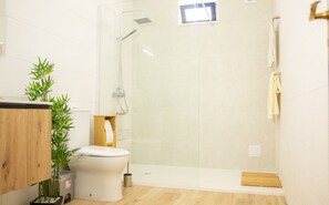 Ducha, secador de pelo, toallas, jabón