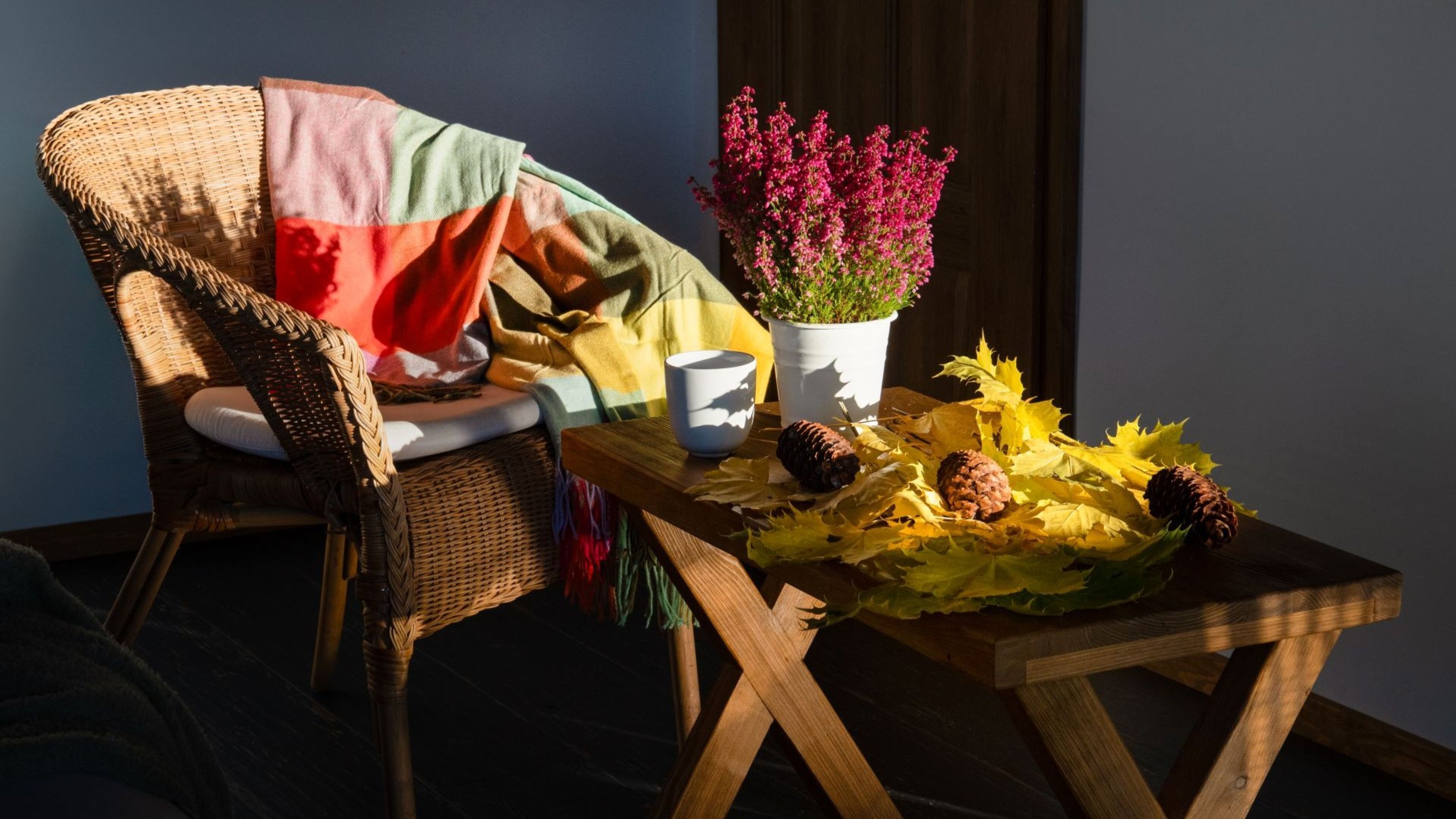 Une chaise en osier recouverte d’une couverture colorée, une plante en pot aux fleurs roses et une table décorée de feuilles d’automne et de pommes de pin.