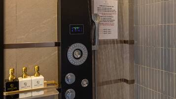 Shower, hydromassage showerhead, designer toiletries, hair dryer