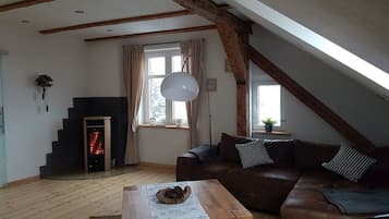 Smart TV, fireplace, DVD player, books
