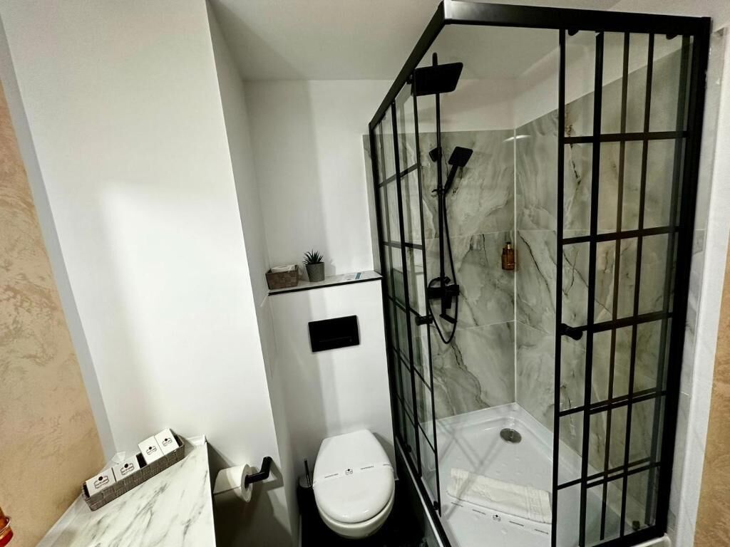 A compact bathroom with a white toilet, a glass-enclosed shower, and a marble wall.
