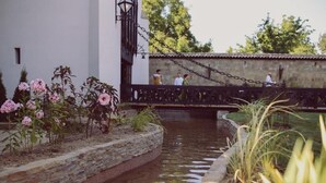 Un estrecho canal de agua con bordes de piedra, rodeado de flores rosadas y follaje.