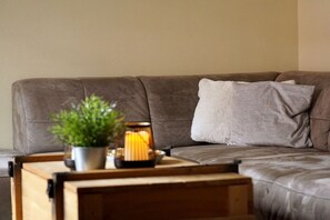 Smart TV, fireplace, DVD player, stereo