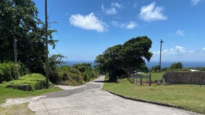 A rural road with a stone wall on one side and a grassy area with trees on the other. - Good Times in Gingerland, Nevis | 3-Bed Bungalow, Garden & Mountain Views (Gingerland)