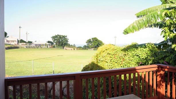 A view from a balcony overlooking a grassy field with a fence, a building in the distance, and a large banana plant. - Good Times in Gingerland, Nevis | 3-Bed Bungalow, Garden & Mountain Views (Gingerland)