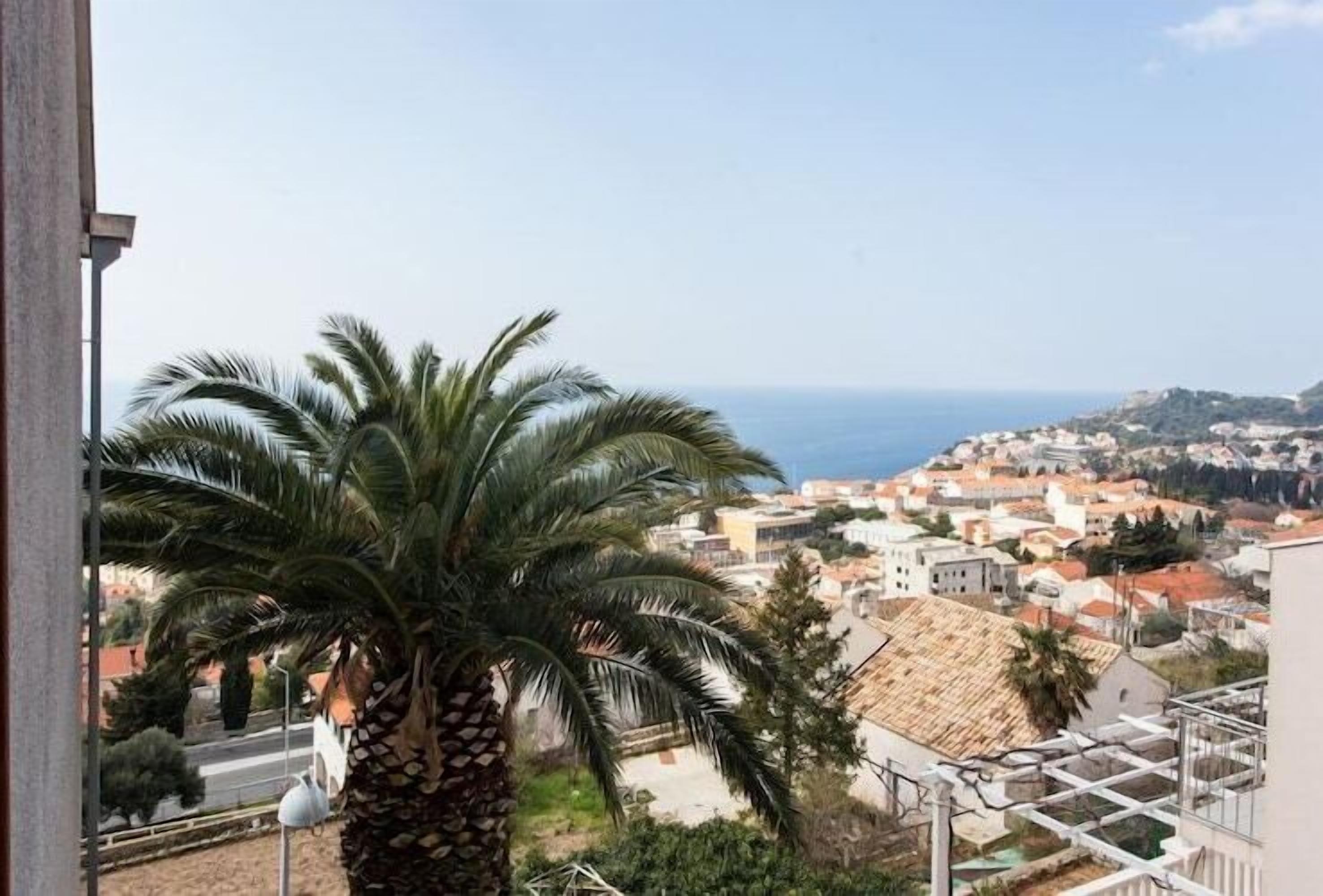 Vista dalla struttura